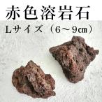 ( мох террариум материал мох бонсай камень расположение надеты сырой ) красный цвет . скальная порода L размер 2 штук входит 