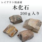 （苔テラリウム材料 苔盆栽 石 レイアウト 着生）木化石　200ｇ入り