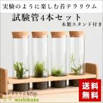 ショッピングテラリウム （苔テラリウム 完成品 苔盆栽 コケリウム 苔 観葉植物 おしゃれ 送料無料）試験管4本セット オリジナル木製スタンド付き