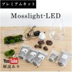 (コケ 苔テラリウム キット モスライト コケリウム はじめて 苔盆栽 おしゃれ パルダリウム)Mosslight-LEDで作る苔テラリウム