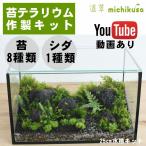 (koke мох террариум комплект kokelium впервые . мох бонсай модный Pal dalium)25cm аквариум комплект * можно выбрать 2 вид | мох 8 вид | бесплатная доставка | описание анимация есть 