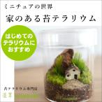 ショッピングテラリウム （苔テラリウム 完成品 フィギュア 苔盆栽 コケリウム 苔 観葉植物 おしゃれ）家のある苔テラリウム