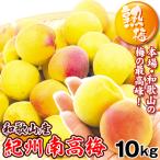  слива .. юг высота слива [. слива ] 10kg Wakayama производство рефрижератор рейс бесплатная доставка еда 