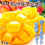 マンゴー ふぞろいアップルマンゴー 1kg 宮崎産 ご家庭用 宮崎マンゴー 芒果 完熟 2〜8玉 太陽のタマゴと同じ品種 送料無料 食品