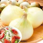  лук репчатый 10kg новый лук репчатый Awaji Island производство бесплатная доставка еда 