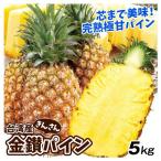  сосна 5kg золотой . сосна Taiwan производство .. san .. san сосна . груша ананас бесплатная доставка еда 