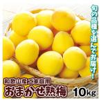 梅 おまかせ熟梅 10kg 和歌山産 ご家庭用 冷蔵便 送料無料 食品