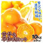 ショッピング甘平 みかん 10kg 甘平＆不知火オレンジセット (各5kg) 柑橘セット 送料無料 食品