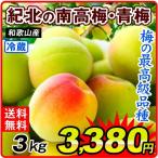 Yahoo! Yahoo!ショッピング(ヤフー ショッピング)梅 南高梅（青梅）和歌山産 紀北の南高梅 3kg ご家庭用 送料無料 食品