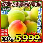 Yahoo! Yahoo!ショッピング(ヤフー ショッピング)梅 南高梅（青梅）和歌山産 紀北の南高梅 10kg 送料無料 ご家庭用 食品