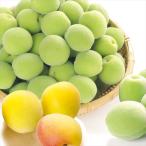  слива примерно 10kg. после слива Aomori производство дерево коробка рефрижератор рейс бесплатная доставка еда 