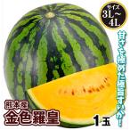 すいか 金色羅皇 1玉 熊本産 送料無料 食品