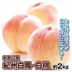 もも 和歌山産 紀州白鳳・白桃 約2kg 送料無料 食品