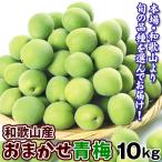  слива случайный синий слива 10kg Wakayama производство . для бытового использования рефрижератор рейс бесплатная доставка еда 