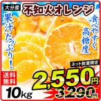 不知火 みかん 10kg 大分産 不知火オレンジ 小玉 送料無料 デコポン と同品種 デコ しらぬい ご家庭用 デコみかん 食品 国華園