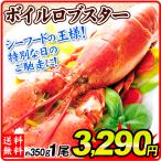  лобстер 1 хвост Boyle лобстер Северная Америка производство бесплатная доставка 350g Canada море . омар рефрижератор рейс еда страна ..