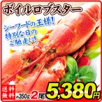  лобстер 2 хвост Boyle лобстер Северная Америка производство бесплатная доставка 350g×2 Canada море . омар рефрижератор рейс еда страна ..