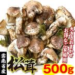  сосна .500g. юг . China производство рефрижератор есть перевод . для бытового использования бесплатная доставка еда 
