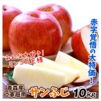 あすつく りんご 10kg 大特価 サンふじ 青森産 ご家庭用 送料無料 食品
