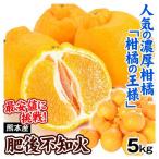 みかん 熊本産 ご家庭用 肥後不知火 5kg デコポンと同じ品種 送料無料 食品