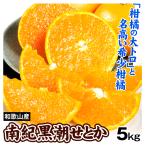 ショッピングせとか みかん 5kg 和歌山産 南紀黒潮 せとか 柑橘 ご家庭用 送料無料 食品
