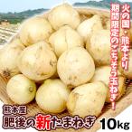 たまねぎ 熊本産 肥後の新たまねぎ 10kg ご家庭用 ふぞろい 送料無料 食品