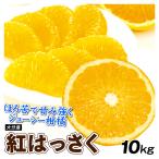 みかん 10kg 紅はっさく 大分産 はっさく 八朔 ご家庭用 送料無料 食品 国華園