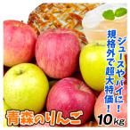 りんご 青森産 加工用ミックスりんご 10kg 訳あり 1〜3品種混合 送料無料 食品