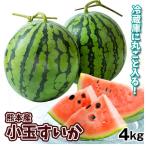  арбуз примерно 4kg(3~5 шар ввод ) растение. маленький шар ... Kumamoto производство бесплатная доставка еда 