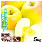 りんご 長野産 ぐんま名月 5kg ご家庭用 林檎 果物 送料無料 食品