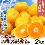 みかん ハウスみかん 2kg(400g×5パック) パック入り 和歌山産 送料無料 食品 国華園