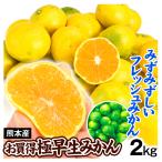 みかん 2kg ご家庭用 極早生みかん 熊本産 温州 柑橘 果物 フルーツ 国産 送料無料 食品