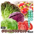  овощи комплект зеленый салат комплект 4 товар 1 коробка местного производства lettuce красный капуста Sunny lettuce помидор набор бесплатная доставка еда 