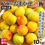  слива 10kg. юг. случайный . слива Wakayama производство . для бытового использования .. обычная температура рейс бесплатная доставка еда 