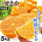  мандарин Ehime производство сильно сниженная цена . или 5kg. для бытового использования бесплатная доставка еда страна ..