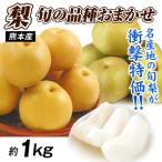  груша примерно 1kg. для бытового использования случайный мир груша Kumamoto производство есть перевод . вода . вода .... новый высота новый . другой бесплатная доставка еда 