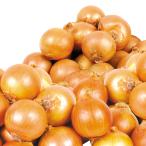  лук репчатый 10kg маленький шар Awaji Island производство только .. отгрузка средний . для бытового использования бесплатная доставка еда 