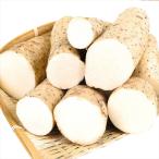  гора ..10kg Aomori производство батат ( порванный .). для бытового использования нестандартный бесплатная доставка клубень овощи еда страна ..