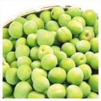  слива 10kg юг высота слива [ синий слива ] Wakayama производство рефрижератор рейс . для бытового использования бесплатная доставка еда 