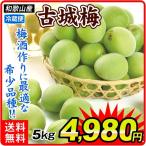 Yahoo! Yahoo!ショッピング(ヤフー ショッピング)梅（青梅）古城梅 和歌山産 5kg 青梅 こじろうめ 梅酒 送料無料 食品