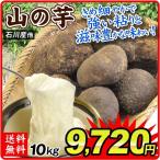 ya... Ishikawa производство др. гора. клубень 10kg 1 коробка бесплатная доставка еда страна ..