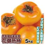  хурма 5kg цветок . место хурма Tottori производство бесплатная доставка еда 