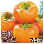 柿 7.5kg 富有柿 和歌山産 ご家庭用 