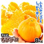 みかん 熊本産 ちびデコ 8kg 不知火オレンジ 小玉 送料無料 食品