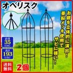  обелиск 2 шт 1 комплект диаметр 35 высота 193 шпалера садоводство сад клематис .. роза роза .. двор веранда цветочный горшок вход цинк металлизированный садоводство страна ..