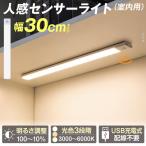���؉� �Z���T�[���C�g LED �������F�Z���T�[���C�g30cm �����p ������ �t�b�g���C�g �}�O�l�b�g�@���� ���F �l�� USB�[�d �z���s�v ���� �N���[�[�b�g ����