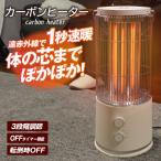 ヒーター 電気ストーブ カーボンヒーター 遠赤外線 出力3段階 OFFタイマー おしゃれ 足元ヒーター 暖房器具 軽量 1個  国華園