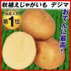 種芋 秋植えじゃがいも デジマ 2kg / ジャガイモ ジャガイモのたね じゃがいものたね 種イモ じゃが芋 たねいも 家庭菜園 でじま 人気 国華園