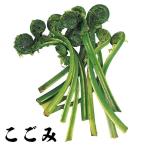  дикоросы рассада ...4 АО 