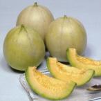  вид овощи .. дыня F1.. дыня 1 пакет (2ml).... вид страна ..